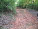 Dawson Forrest 033.jpg
